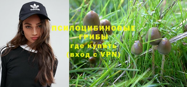 mdpv Балахна