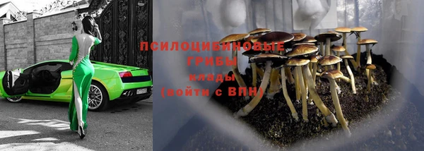 spice Баксан