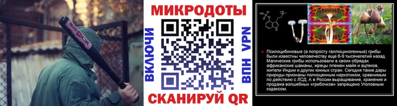 darknet формула  Кремёнки  Псилоцибиновые грибы Psilocybe 
